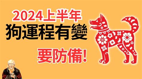 2024狗年運程1982|1982年属狗人2024年运势及运程女，82年42岁生肖。